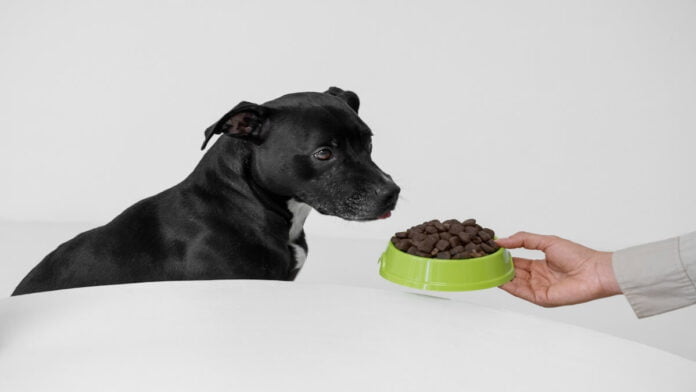 Maximizando a Qualidade dos Produtos através do Dogfooding