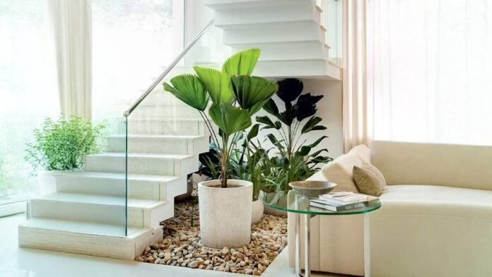 3 plantas que você precisa ter para flores durante todo o ano