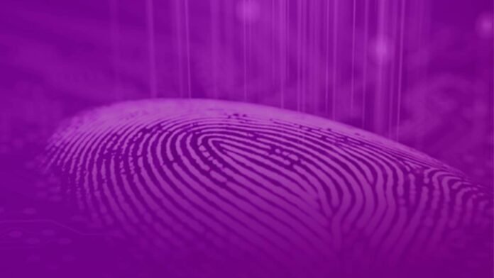 Como criar uma identidade visual adequada: guia estratégico para sua marca