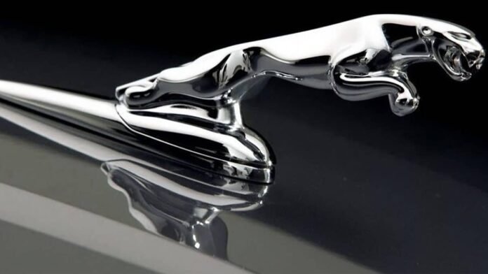 Qual a origem do nome da marca Jaguar: história, significado e transformação