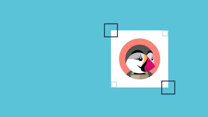 Plataforma PrestaShop: como usar essa ferramenta para vender online
