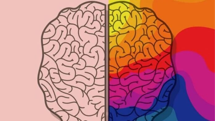 Psicologia das cores no ecommerce: como influenciar decisões de compra