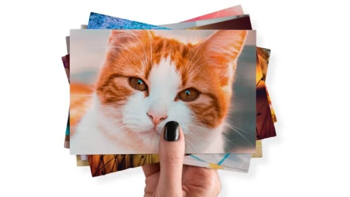 Como revelar fotos online: Guia completo passo a passo.